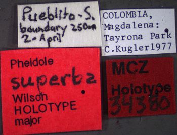 Media type: image;   Entomology 34380 Aspect: labels